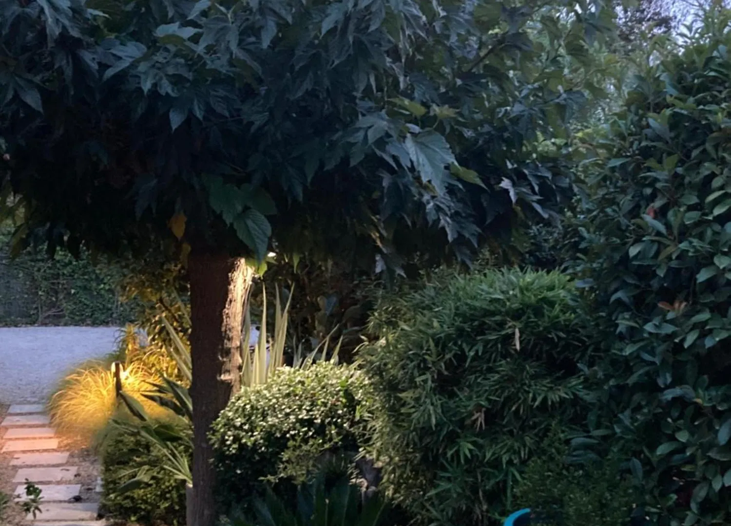 La Vagabonde Bed & Breakfast Saint-Tropez